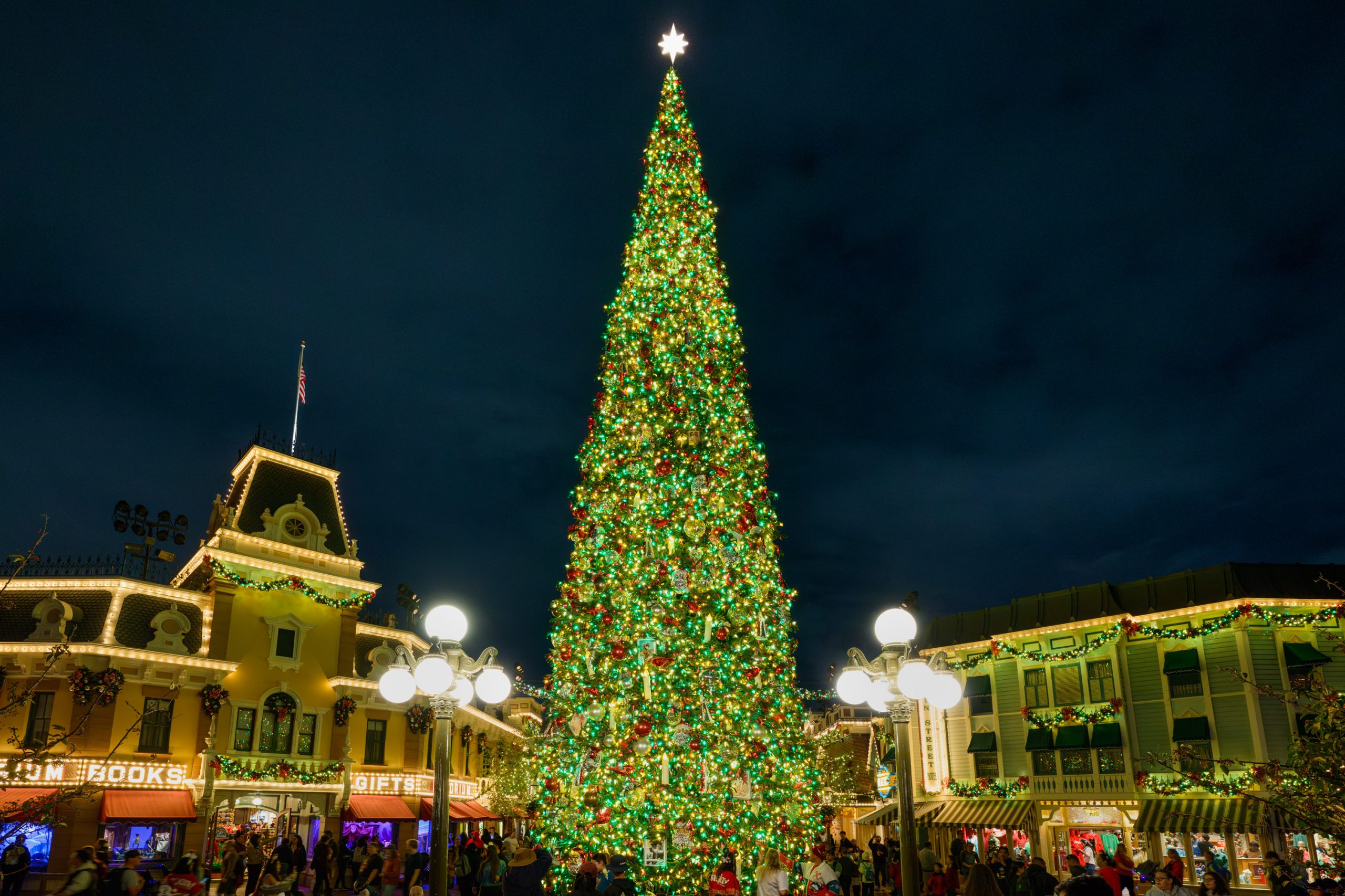 Christmas Tree at Disneyland in November